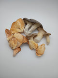 Freeze-dried Organic Oyster Mushrooms Mix (HALF OUNCE)