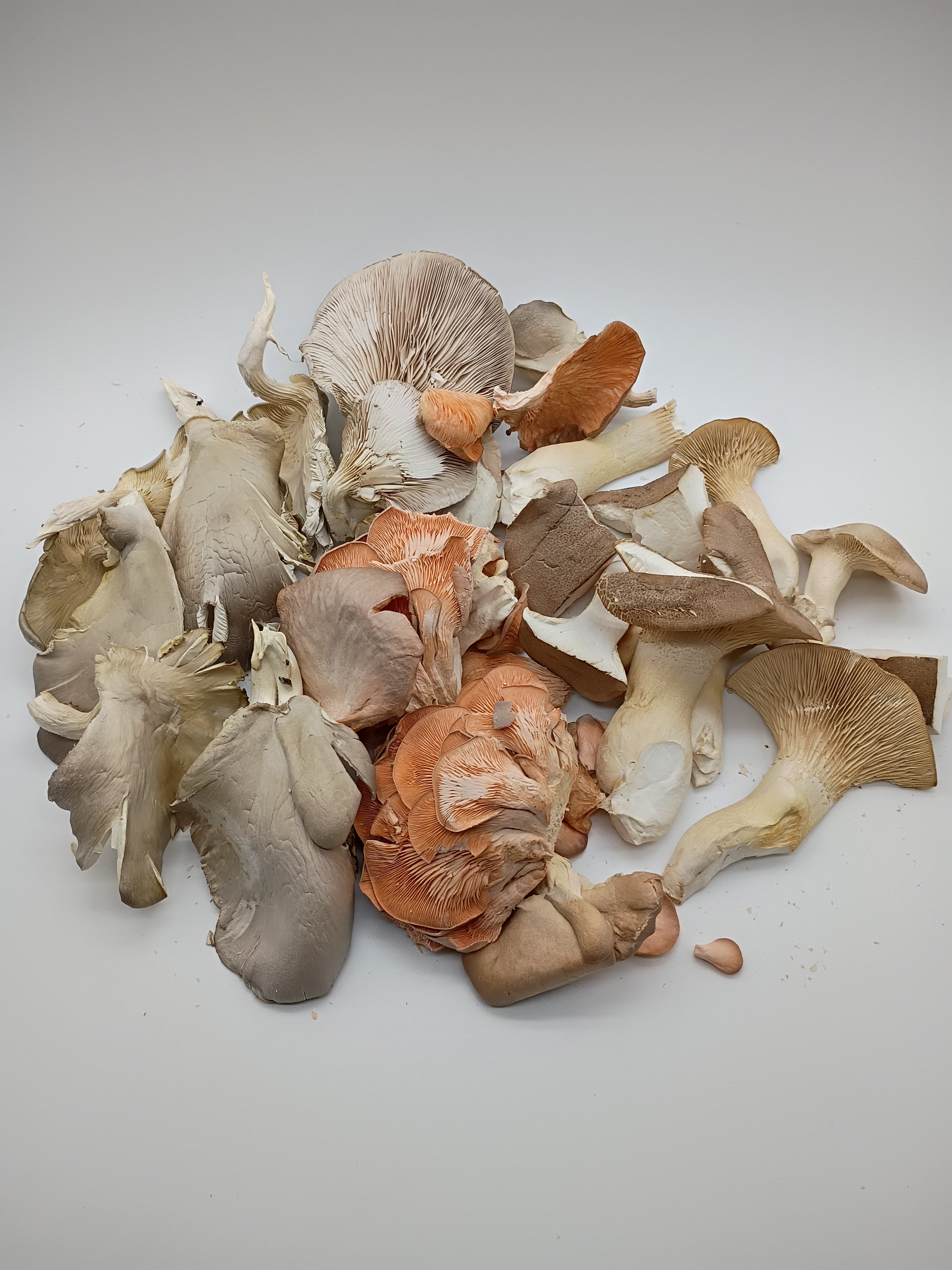 Freeze-dried Large Oyster Mushrooms Mix (TWO OUNCES)