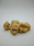 Freeze-dried Organic Lion's Mane Mushrooms (HALF OUNCE)